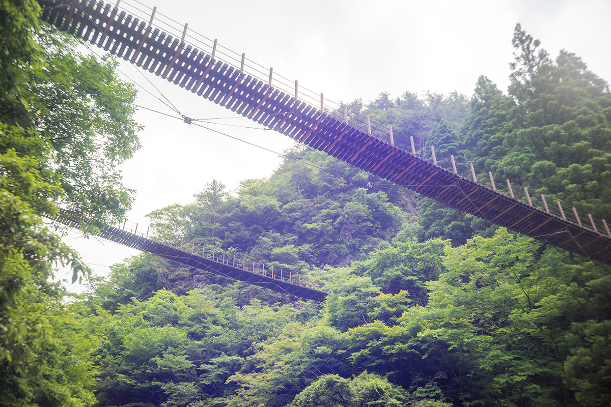 五家荘 樅木の吊橋