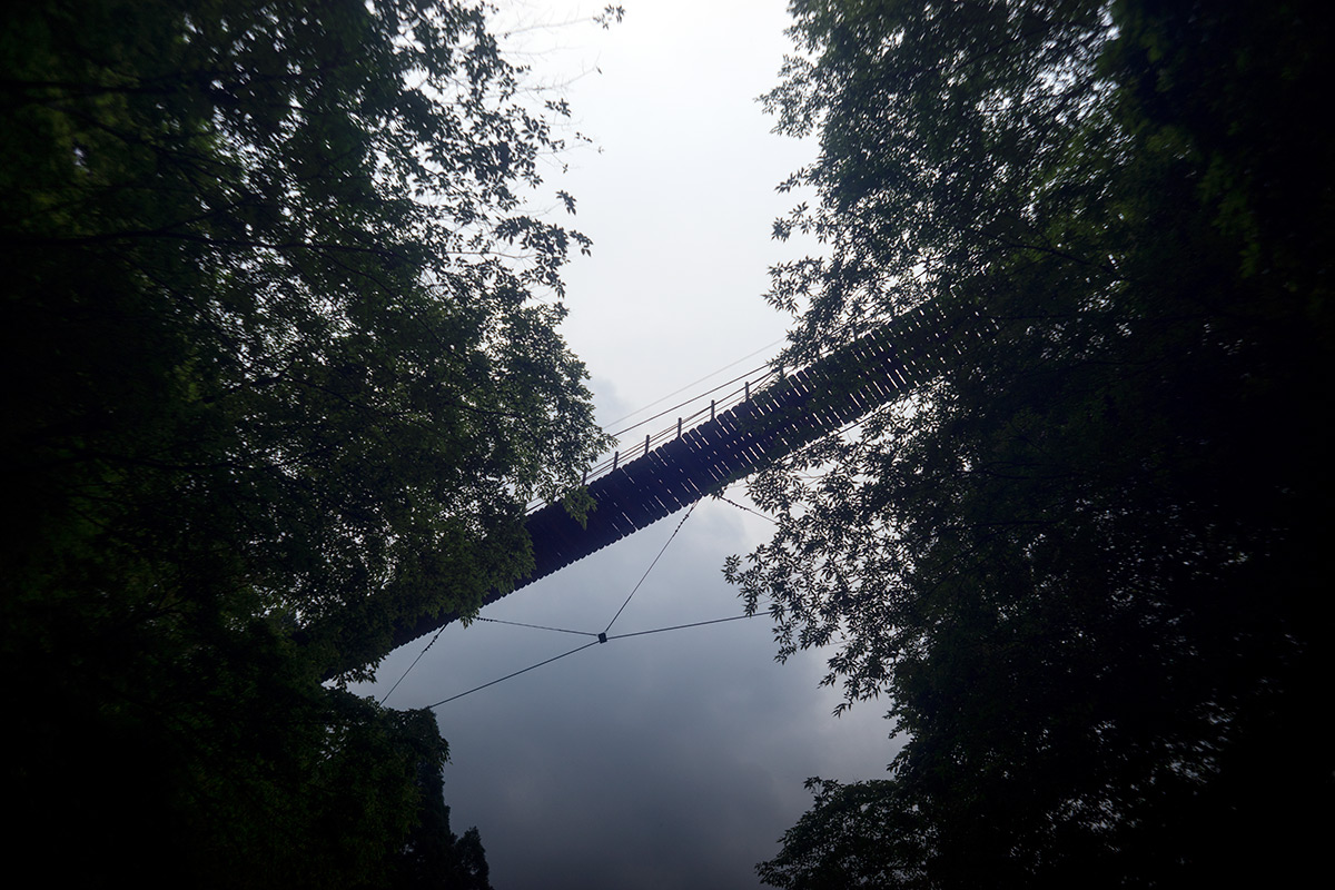 五家荘 樅木の吊橋