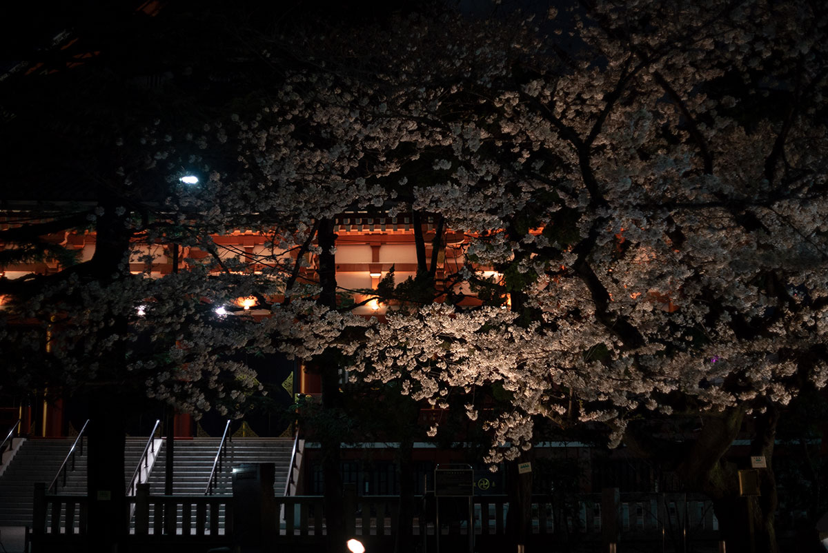 AUTO MIRANDA EC 1:1.8 f=50mm で浅草寺の桜を撮影