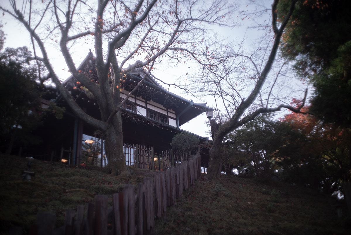 Olympus H.Zuiko F.C. 1:2 f=3.5cm で奈良を撮影。