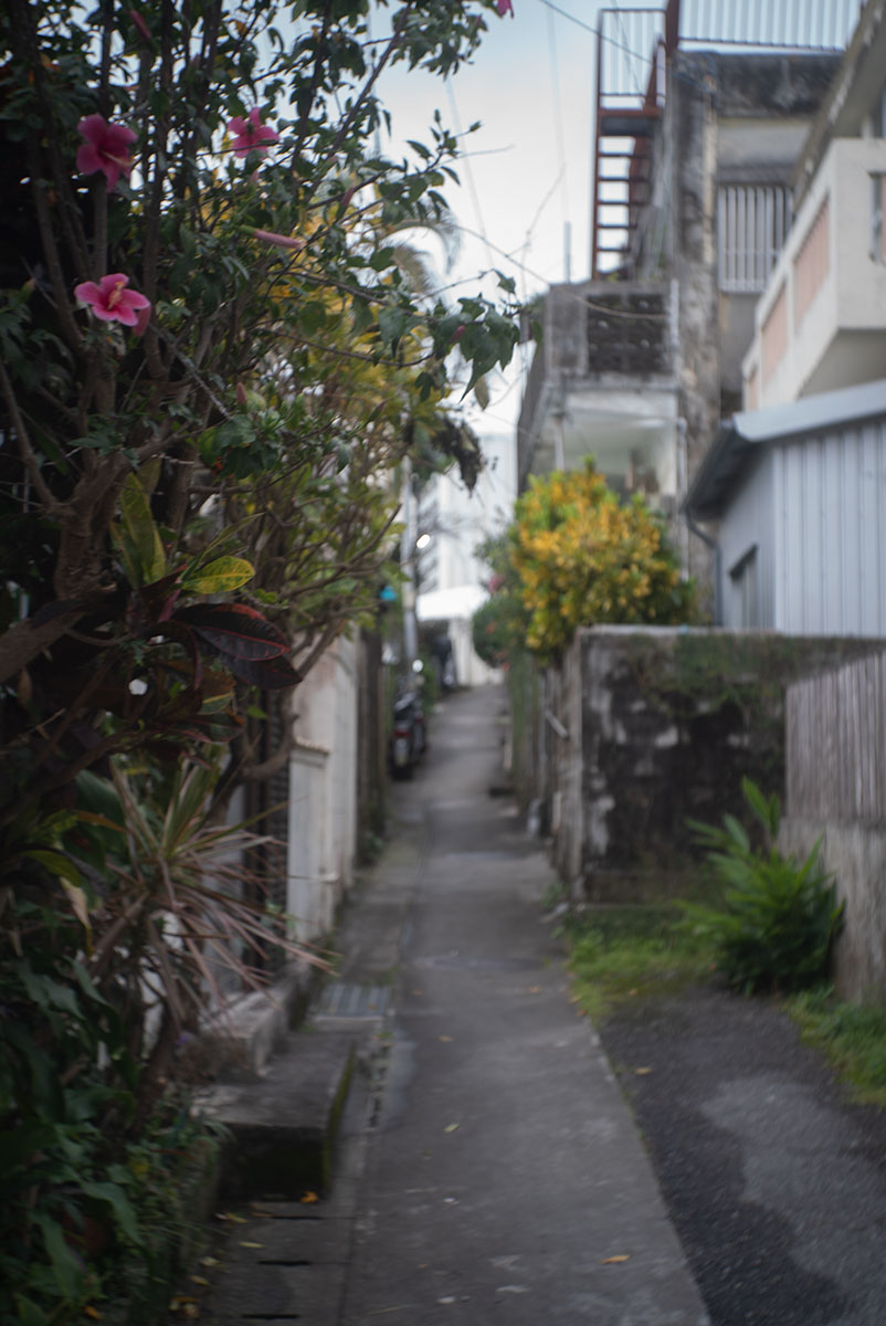 Rokuoh-sha Optor f:4.5 f=50mm で沖縄を撮影。