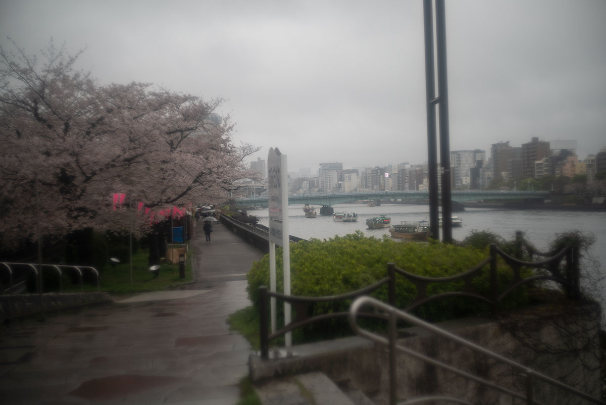 foca OPLAREX 1:1.9 f=5cm で墨堤桜まつりを撮影。